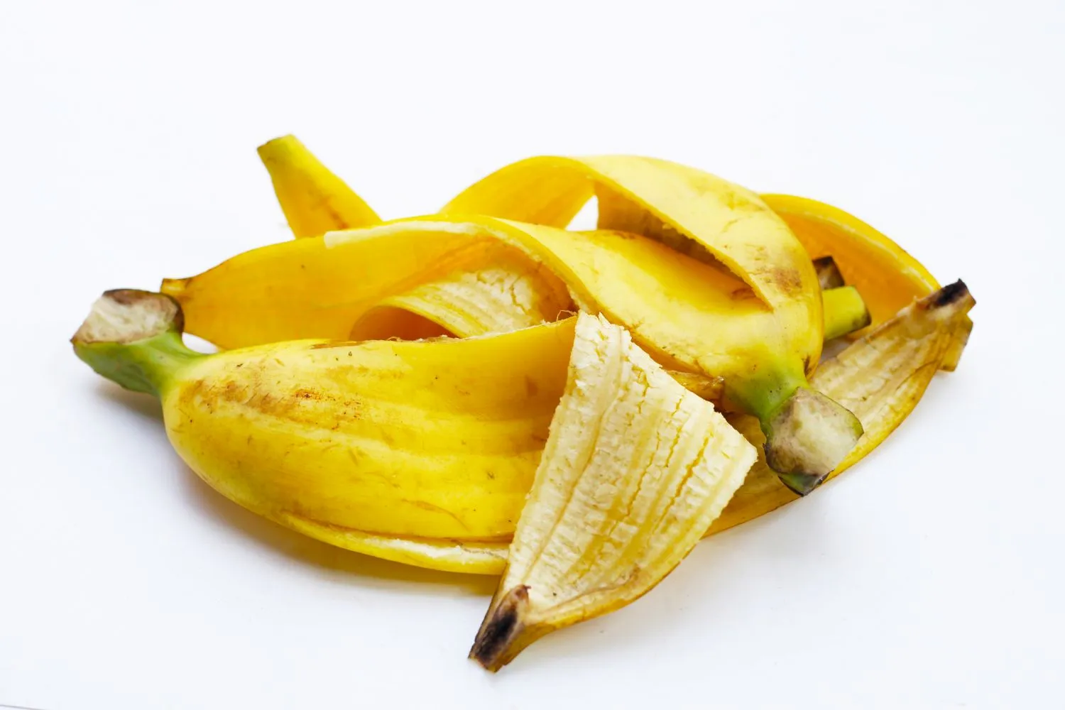 Bananų žievės labai naudingos augalams
