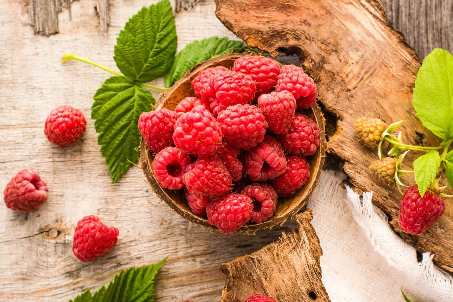 Būtina pasirūpinti tinkamomis aviečių trąšomis rudenį