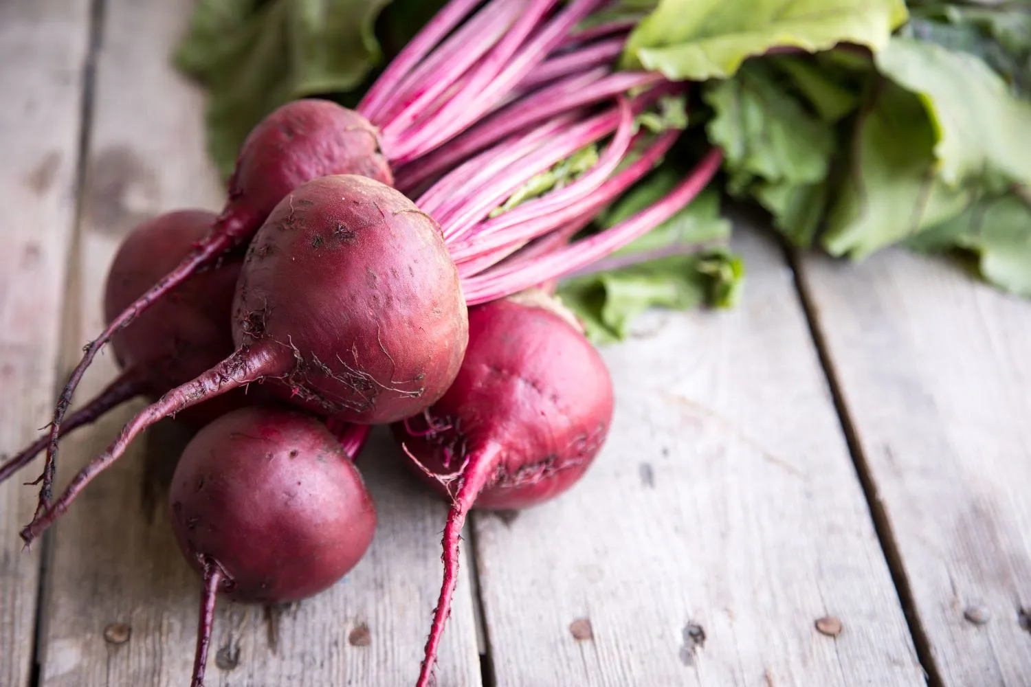 Rudenį svarbi tinkama burokėlių priežiūra