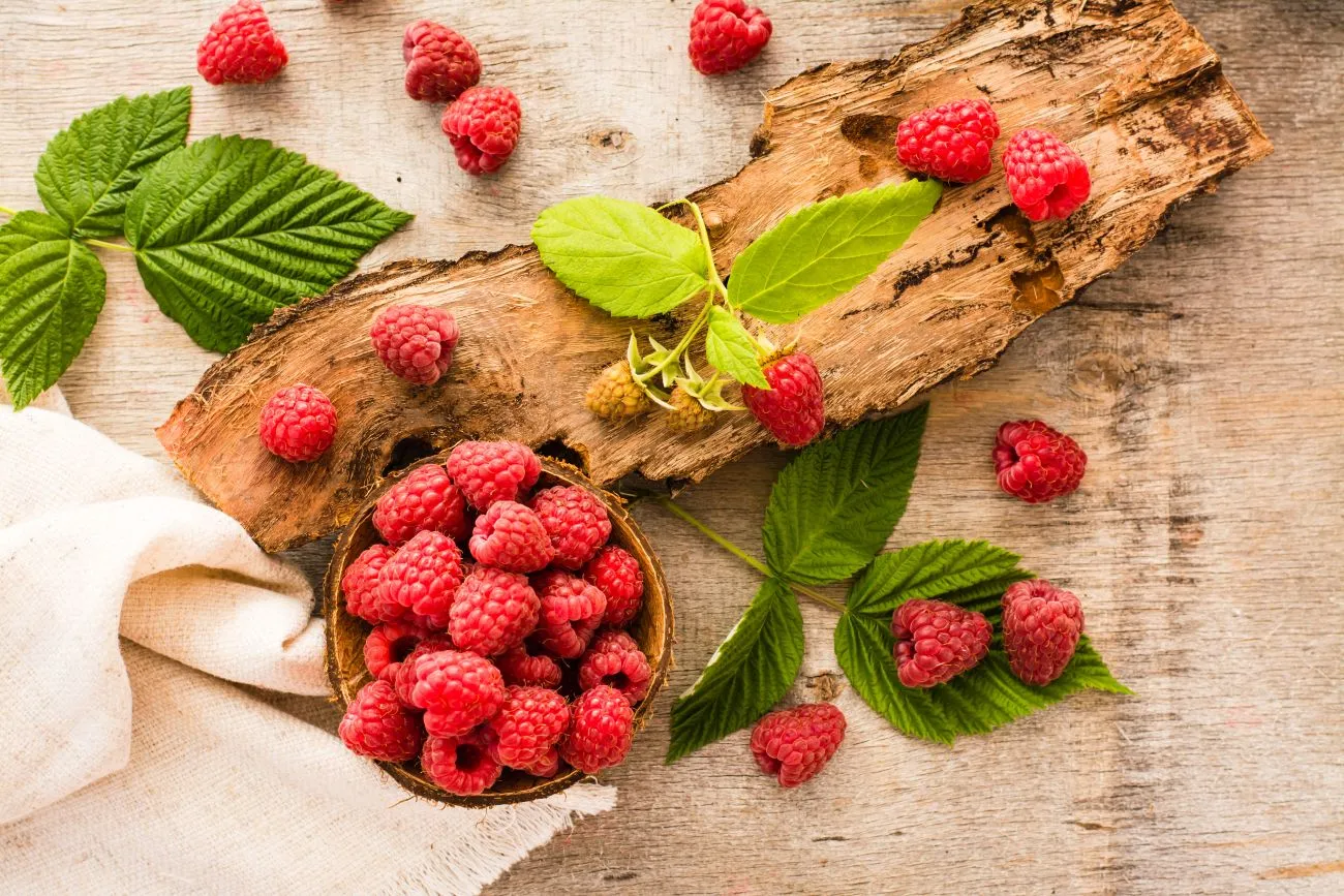 Rudeninio aviečių tręšimo svarba