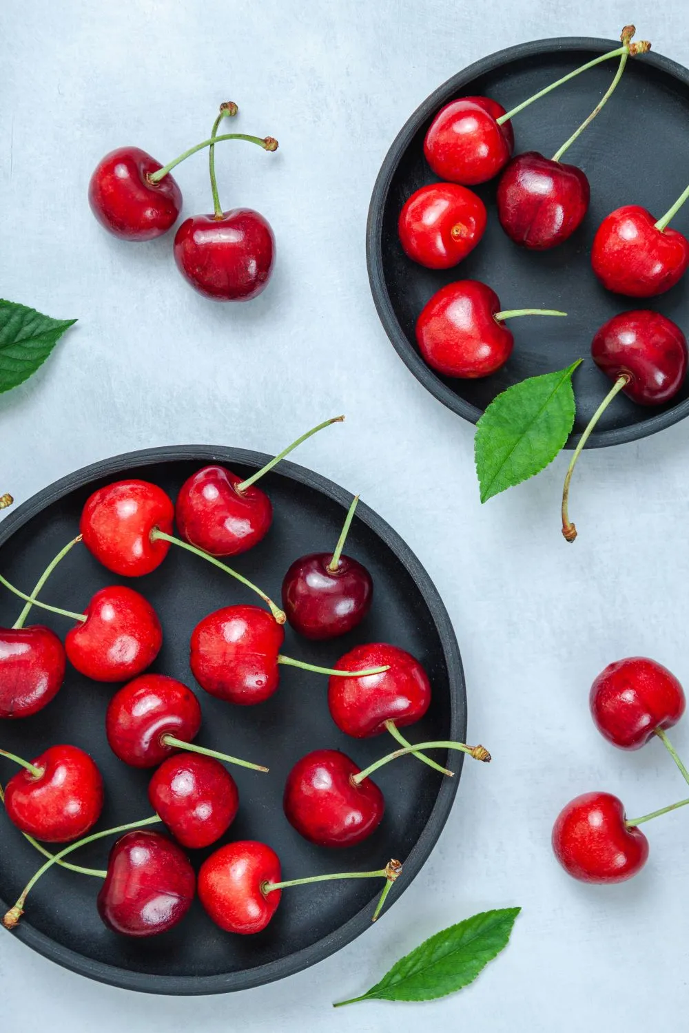 Svarbu tinkamai rūpintis trešnėmis rudenį