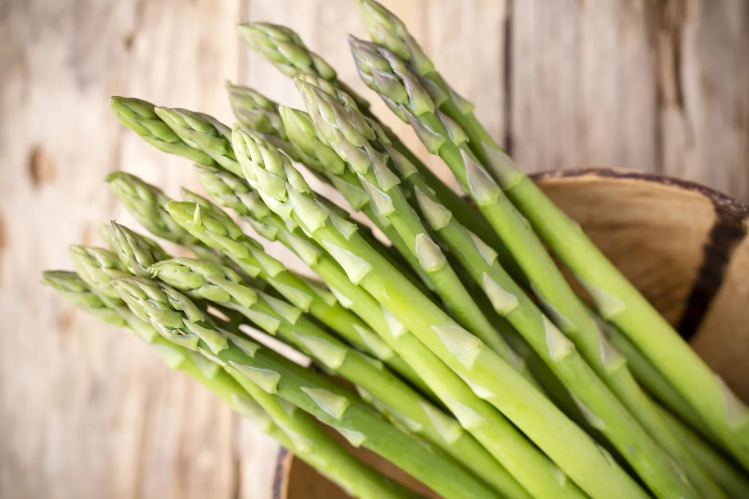 Sveikieji, gardieji smidrai