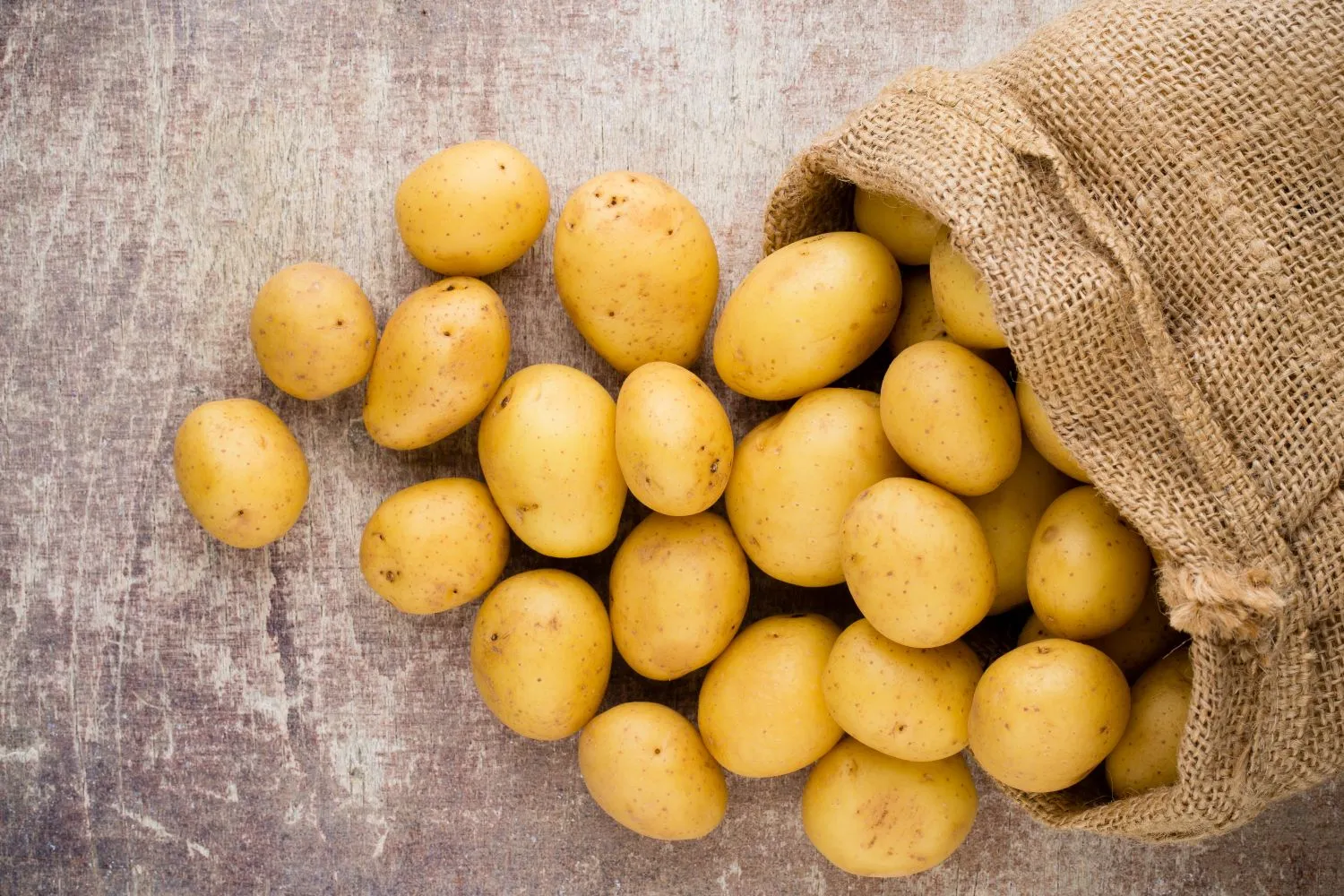 Unikalus bulvių sodinimo metodas