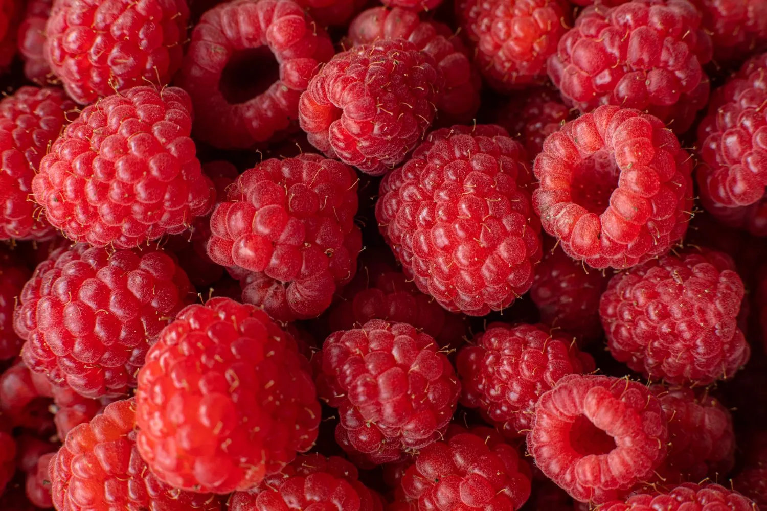 Spalis puikus metas pasirūpinti aviečių genėjimu