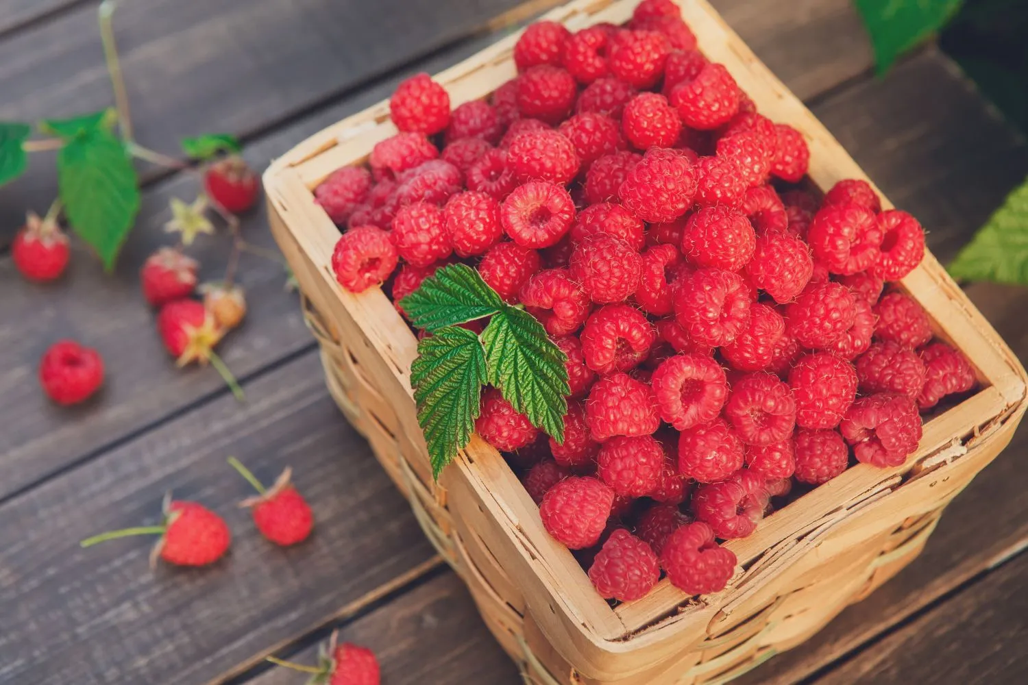 Svarbu parinkti tinkamus avičių kaimynus