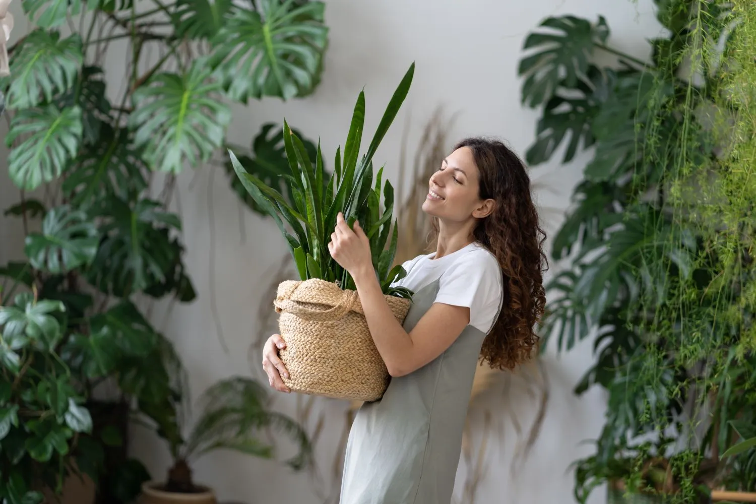 Tinkama priežiūra yra raktas į puikią augalų būklę bei išvaizdą